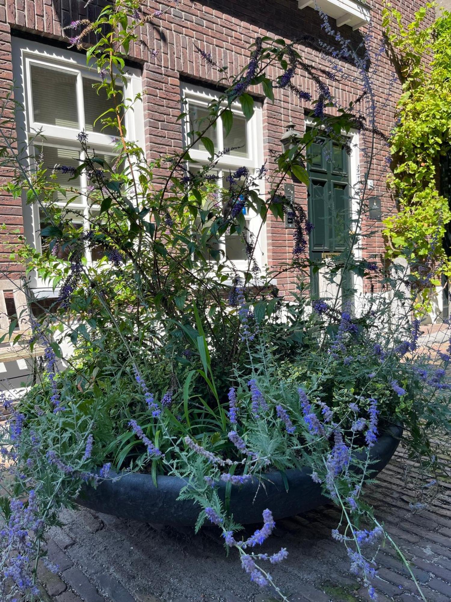 Boutique Hotel Nieuw Uilenburg 's-Hertogenbosch  Esterno foto